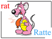 picture-dictionary rat / Ratte