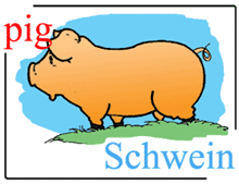picture-dictionary pig / Schwein