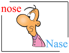 picture-dictionary nose / Nase