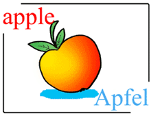 picture-dictionary apple / Apfel