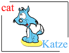 picture-dictionary cat / Katze